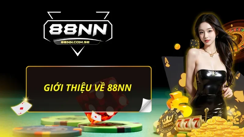 Vài nét cần biết về 88NN 